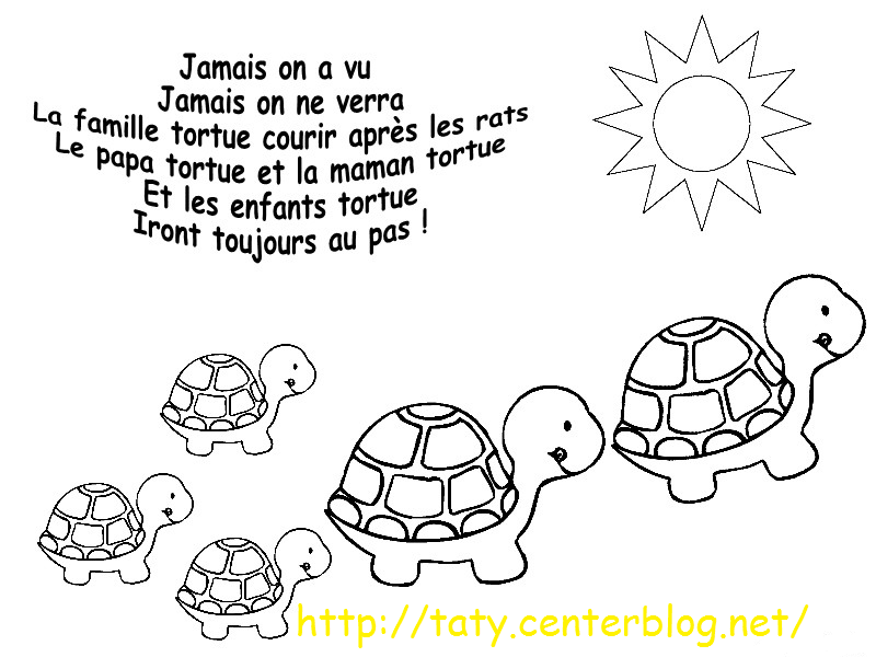 Comment Dit On Tortue En Anglais